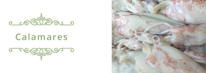 como cocinar calamares