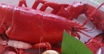 langosta