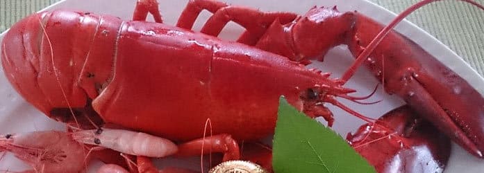 langosta
